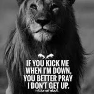 Meet your Posher, Frank